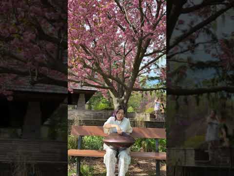 🇨🇦 Handpan | Entering the World of Hayao Miyazaki 🌸 -#F Pygmy 21 #handpan #music #meditaionmusic