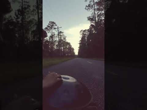 Quiet Woods And Evening Melodies