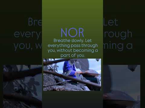 The Sound of Freedom#Handpan #Freedom #NOR