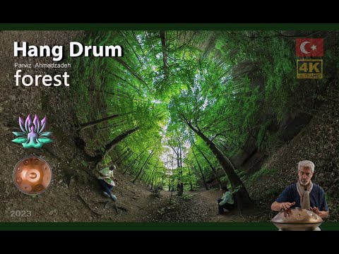 hangdrum ahmadzadeh  forest 2023 original music