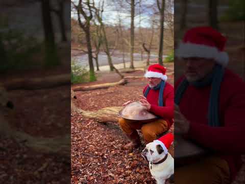 Are you feeling festive yet ? 🎅 Even the birds decide to join in 🐦#handpanmusic #handpan
