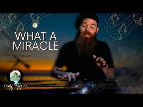 The Miracle of Being Alive: Not Taking it for Granted | Guided Breathwork Meditation | Ep. 1190