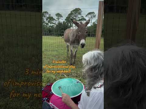 πΈπΆ π π« Love living out in the country side! Love these opportunities to play for animals! ππΈπΆπ¦