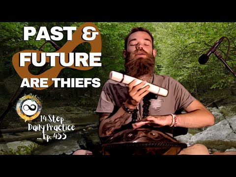 Meditation to Come Back to the Present Moment | Ep. 455