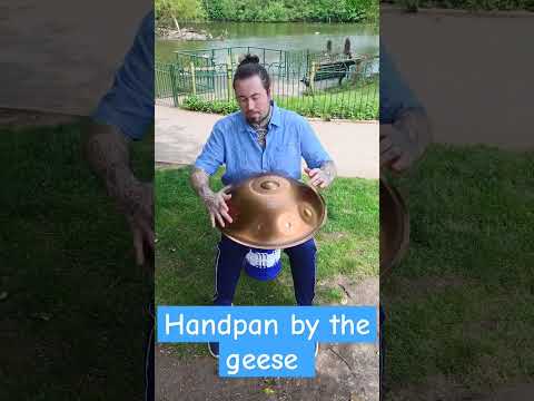 relaxing handpan by the geese #handpan #viral #park #birds  #handpanlove