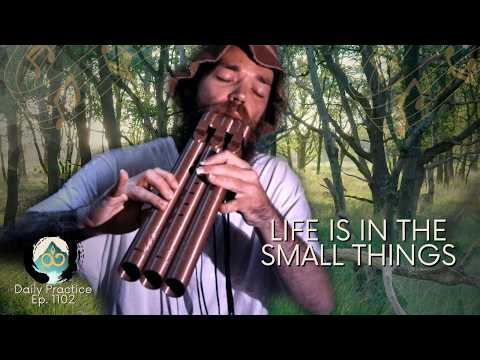 Beauty in Ordinary Life | Guided Meditation | Ep. 1102