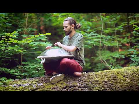 Hang Drum | Handpan | Pantam in the forest