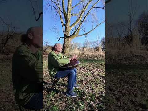 Warm spring SUN improvisation #handpan #music #bkurd #hangdrum #handpanlover #handpanmusic #pan