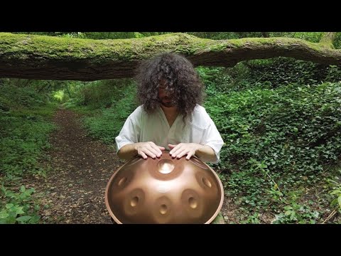 Gaia's Embrace | Meridian B2 Celtic Deep Series | Handpan Music