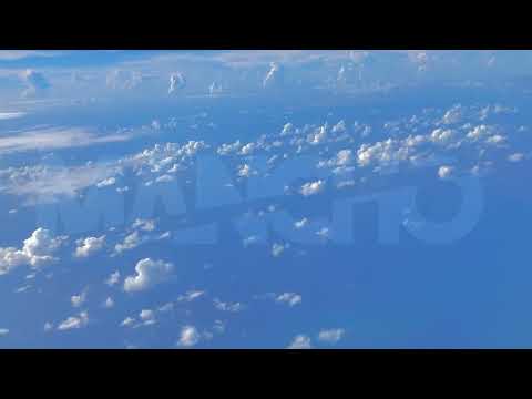 Trip Report podcast  theme Beckley Waves. Psychedelic Venture Studio
