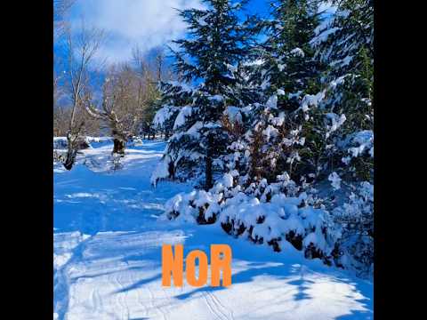 Cold air, warm handpan sound❄️⛄❄️هوای سرد، صدای گرم هنگ‌درام❄️#WinterCalm #HandpanVibes #NaturePeace