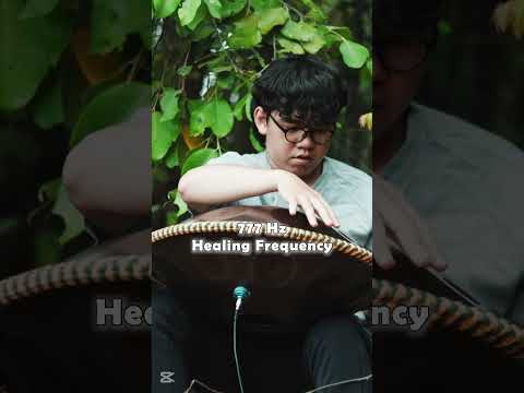 Melodies of the Spring | handpan music @Handpanion