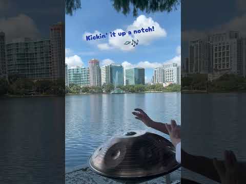 πΈπΆπ Created by @AxiomHandpans, the C# Celtic Minor ~ at Lake Eola, Orlando,FL β¦. ππΆπΈ