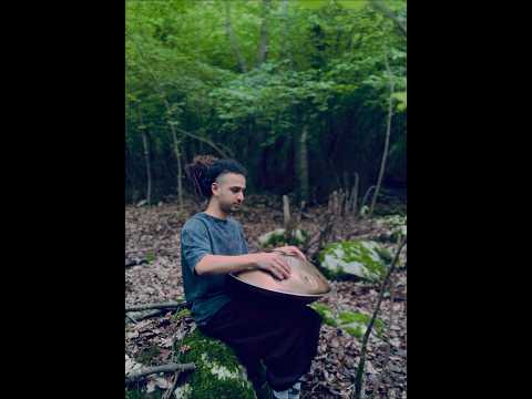C#major pentatonic #handpan #hangdrum #music #torsepan #birds #nature #meditate #jungle #sound #yoga