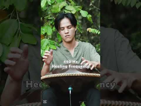Vibe refreshment | handpan music @Handpanion