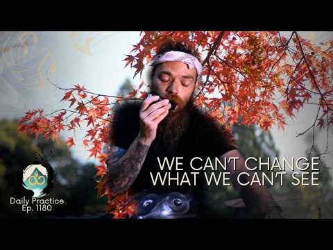 Seeing our Patterns | Guided Breathwork Meditation | Ep. 1180