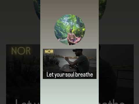 A Journey Beyond Words | Hang Drum 🌠#HangDrum #Journey #Meditation #Peace