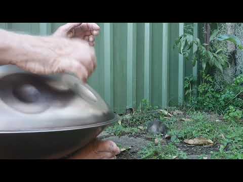 A Serenade I Handpan I Yishama I Daddy-O-Dank
