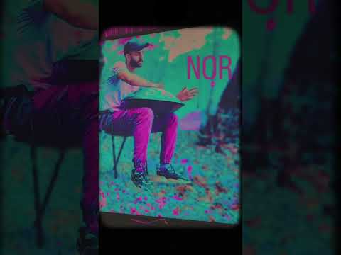 نور دلای پاکو جذب می‌کنه 🧘🌱🐕#hangdrum #هنگدرام #handpanmusic #handpan #nature #طبیعت #آرامش