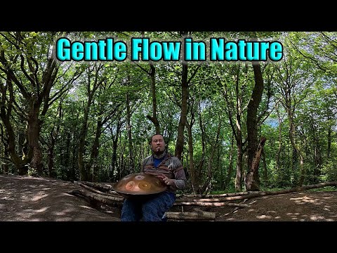 30 Minutes of Relaxing Handpan Music | Gentle Flow in Nature | Phil Cook