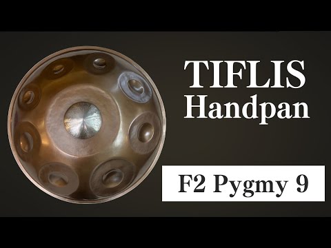 【ハンドパン販売 / レンタル】TIFLIS handpan / F2 Pygmy 9 (試奏1) [管理番号101]