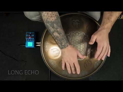S&T Electroacoustic Tongue Pan and ZOOM MS-70CDR+