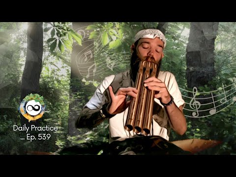 Feel Better Breathwork | Triple Drone Flute & Handpan | Ep. 539