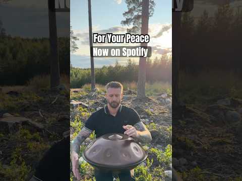 For Your Peace     #handpan #chillvibes #music