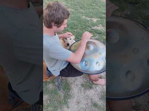 “Playing Handpan with One Hand… Because My Dog Needed Cuddles 🐶❤️