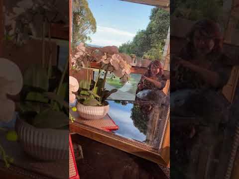 🙏Beautiful temple 🙏 Mita Handpan 🛸