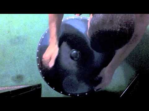 Trini vs 1.1 (2) by HandSteelPan