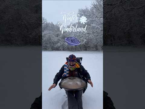 Winter Wonderland Handpan ☃️🛸 #handpan #handpanmusic #winterwonderland #winter #snow #handpandan