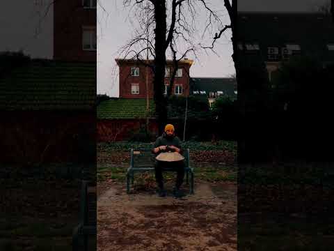 Handpan Nostalgia from Cologne #handpan #handpanplayer  #handpans #handpandrum #nature