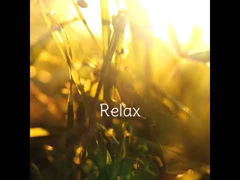 Relax with a Dii Handpan