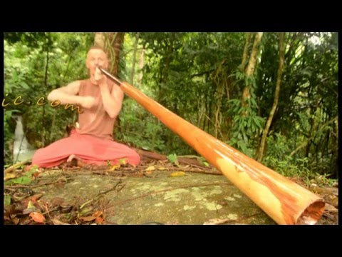 Wooden Slide didgeridoo from Eucalyptus