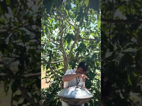 The wind caresses my soul | Alwin Steinle | Handpan  #handpan #handpanmusic #music #flow #express