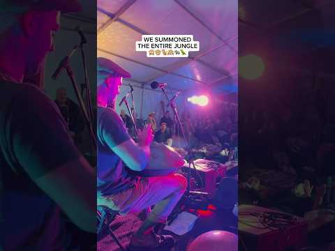 This crowd was NUTS 🤣 #fyp #funny #viralvideo #music