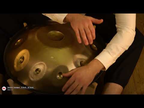Sensory Handpan D Kurd 10 Notes Two Soundholes - MEINL Sonic Energy
