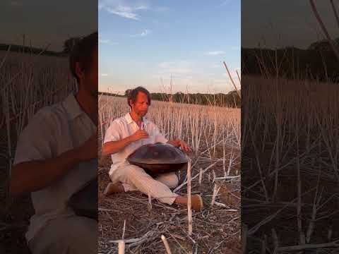 October Light | #handpan Music | Alwin Steinle | D-Kurd #handpanplayer #intuition