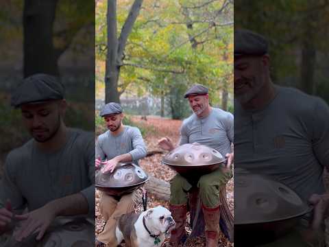 This one’s proving to be a favourite…Full meditation in my playlists 💚. #handpan #handpanmusic