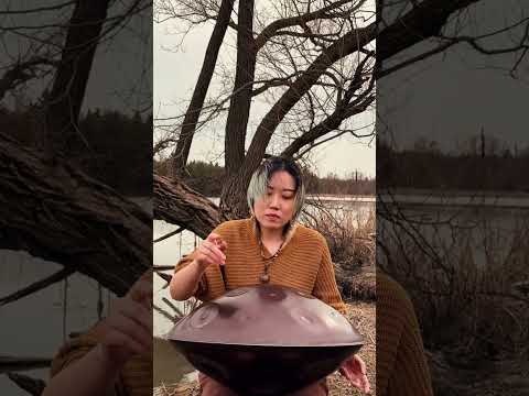 🇨🇦 Handpan | A Little Drunk, A Little Free - E Amara 20