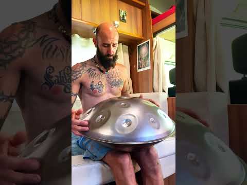 Flavio Salvaje - el Dragon