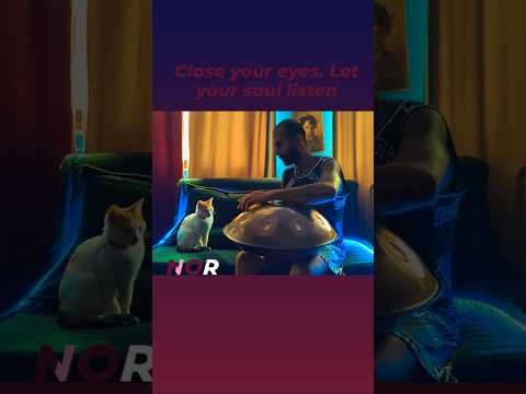 Handpan Meditation🐈🧘#Meditation #Handpan #CalmSound #Mindfulness #RelaxingMusic