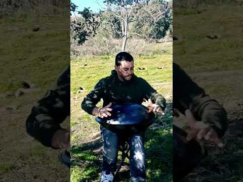 Dark Red Butterfly | @DavidKuckhermann | Handpan D Hijaz | Cover: Samu J. Handpan #handpan