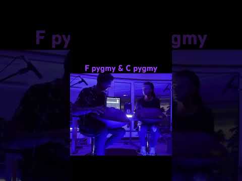 pygmy handpan duet with Abtin Torse #torsepan #handpan #hangdrum #music #handpanworld #meditation