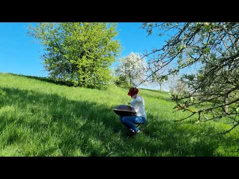 Handpan Entspannung - apple blossom - Namipan D-Sabye