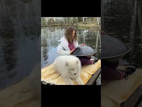 Game of Thrones - handpan cover #shorts