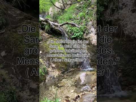 Handpan Musik mit Zitaten #shorts, D Kurd 8+1 Edelstahl ( inspiriert von @MalteMarten )