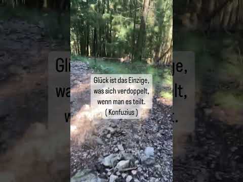 Handpan Musik mit Zitaten #shorts, gelernt von Pierre Buck ( @HandpanmanPierre ), D Kurd 8+1