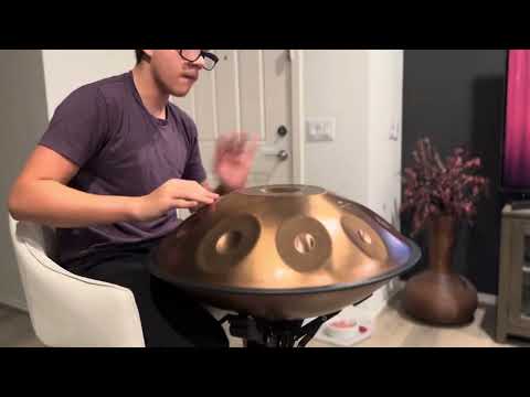 Meinl Sonic Energy D Kurd 10 Note Handpan Hand pan Hang Drum Slef Taught 12 year old